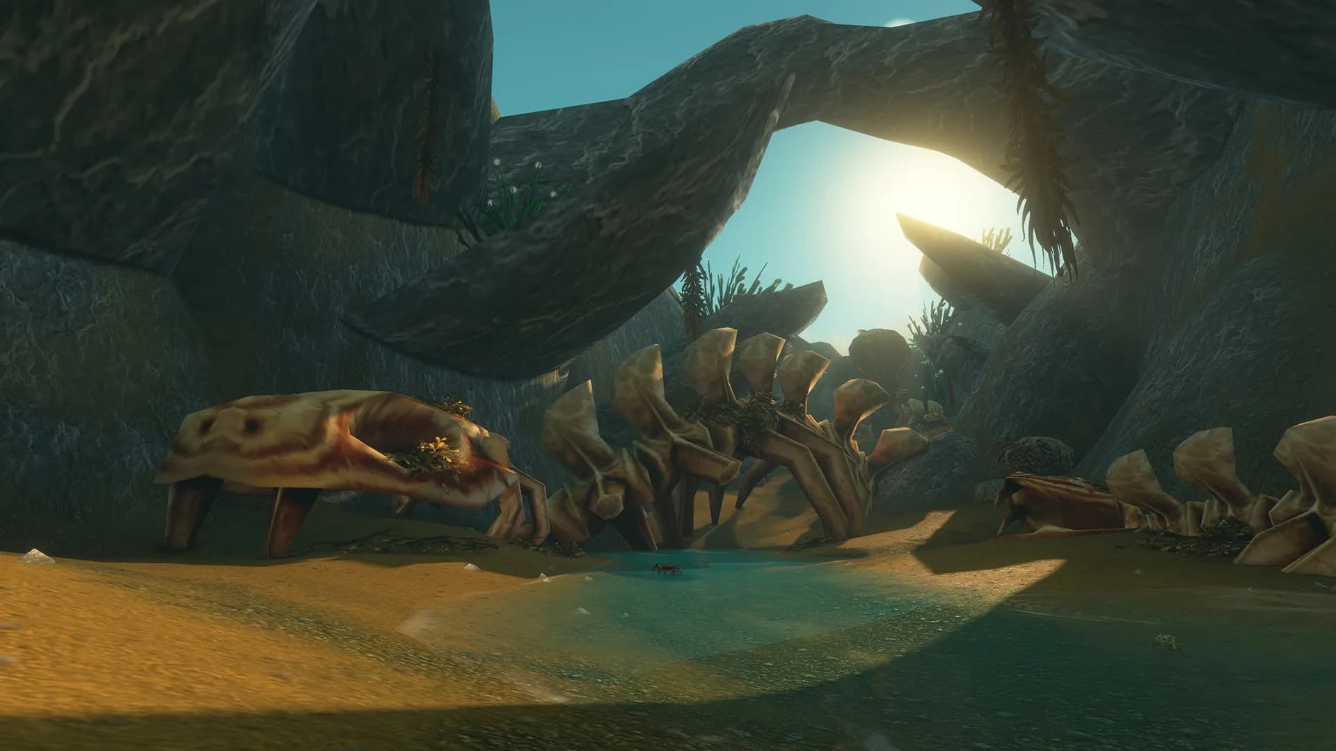 Riesiges Skelett in einer Felshöhle mit Lichteinfall – Dungeon aus der BlizzCon-Präsentation